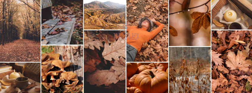 Autumn Edit