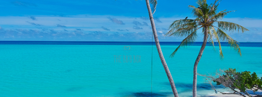 Summer Edit